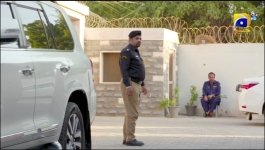 Saaya 2 - 19th May 2022